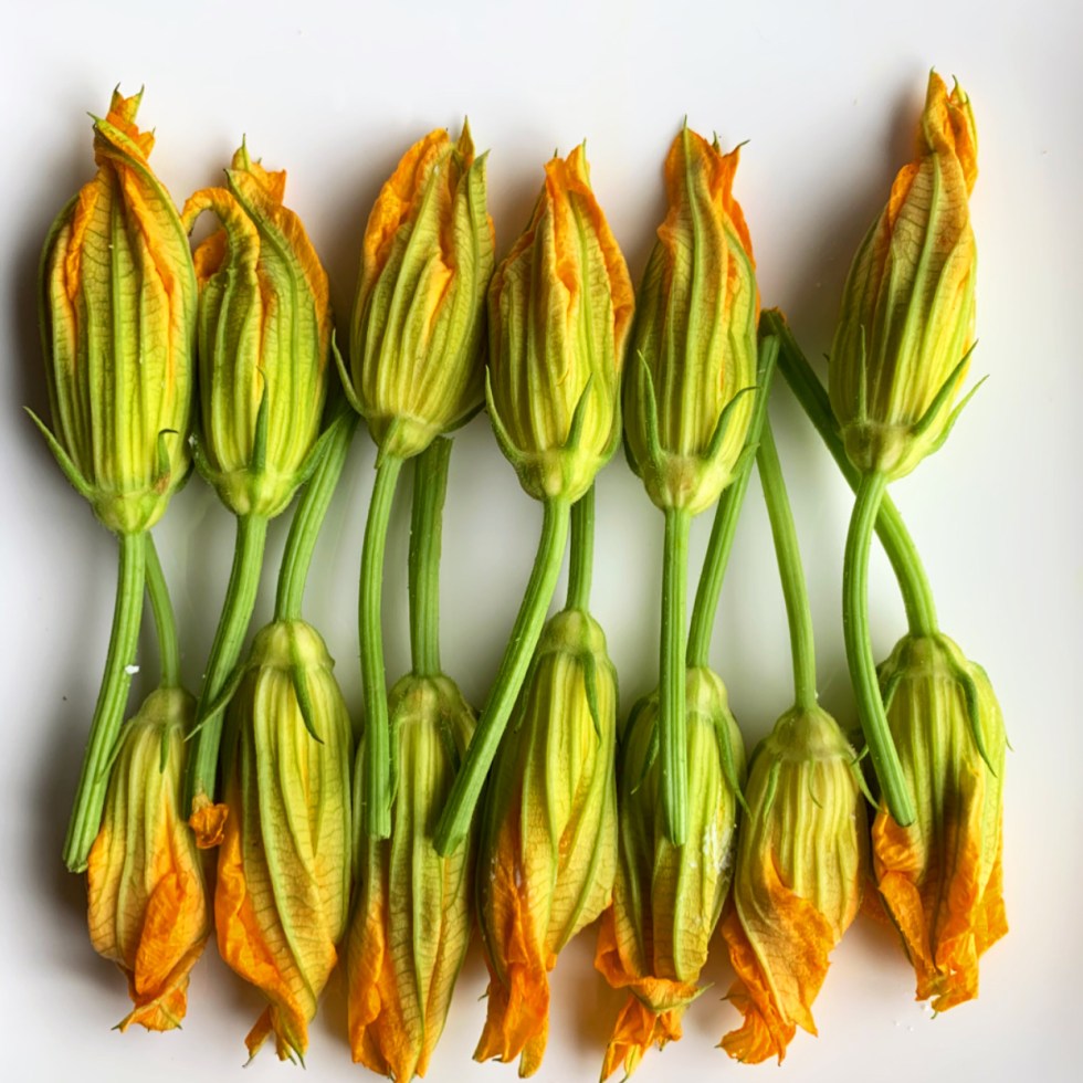Homemade stuffed Zucchini Flowers Stuffed with Ricotta