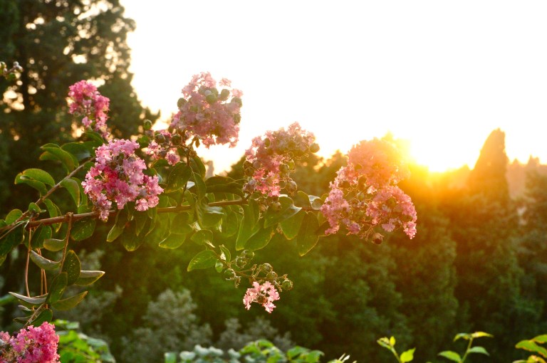 Property of Madi Leigh Photography