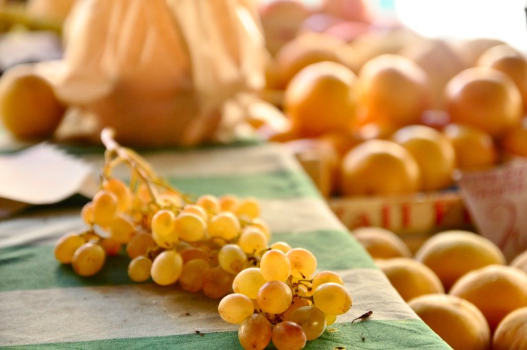 Property of Madi Leigh Photography