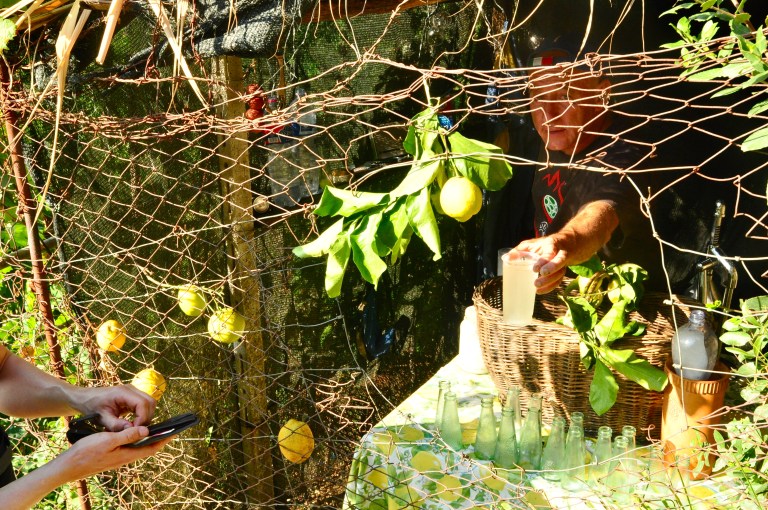 Property of Madi Leigh Photography Cinque Terre Italy