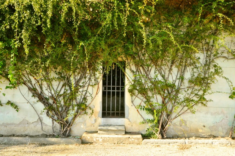 Property of Madi Leigh Photography