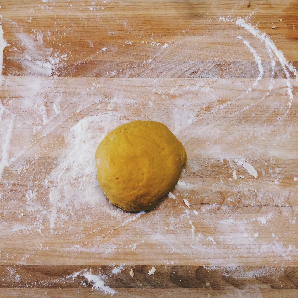 Gluten Free Pasta Dough