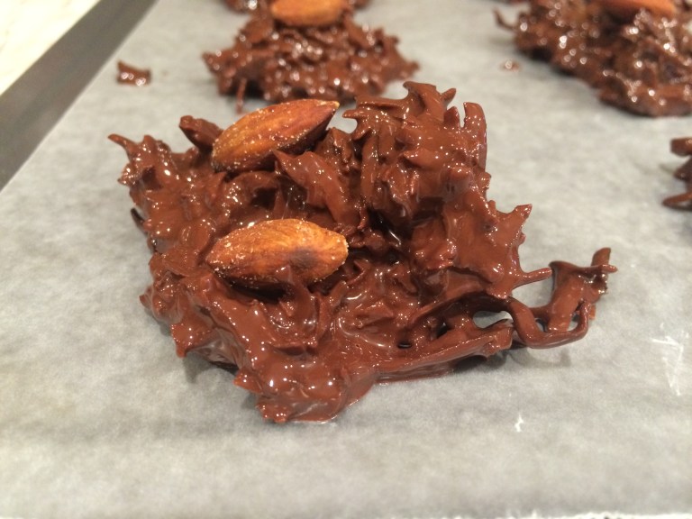 Dark Chocolate Covered Toasted Coconut Bites