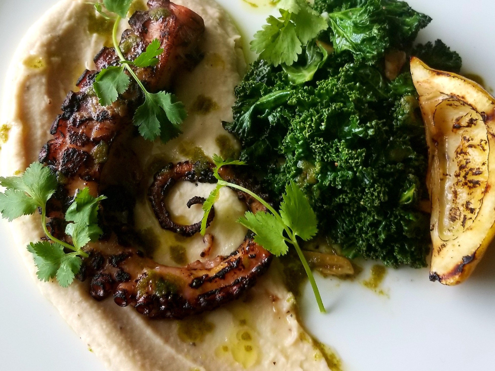 Charred Mediterranean Octopus with a Cilantro Chimichurri