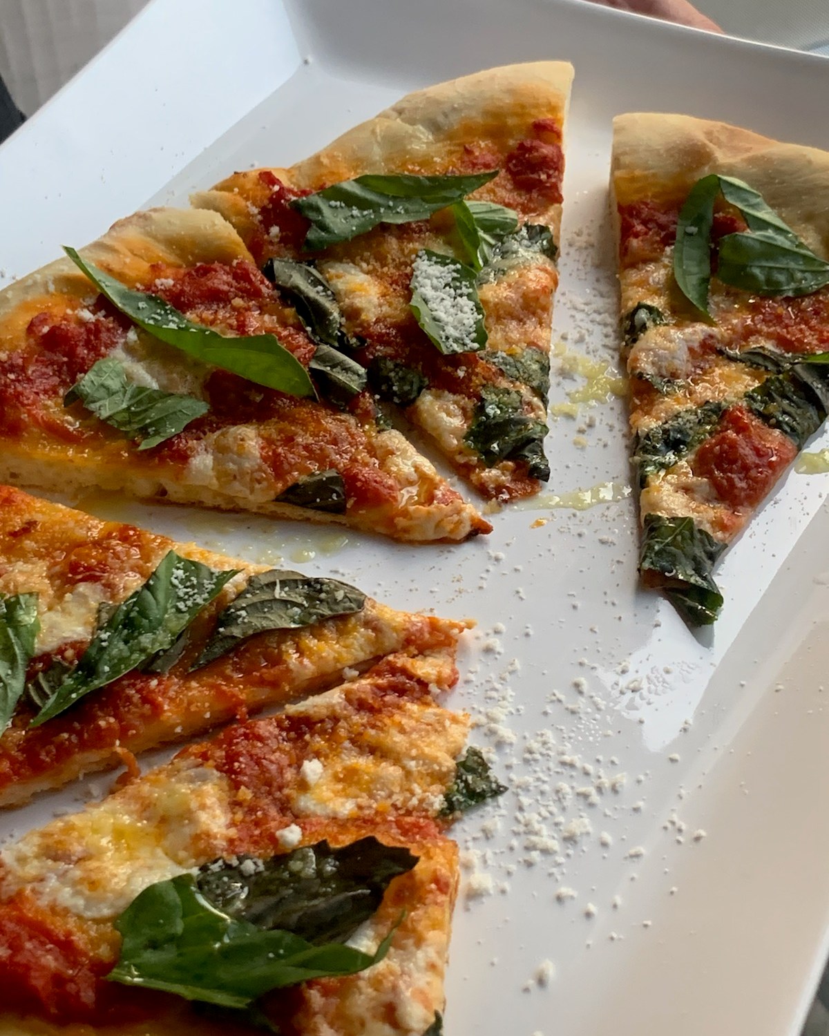 homemade neopolitan style margherita pizza